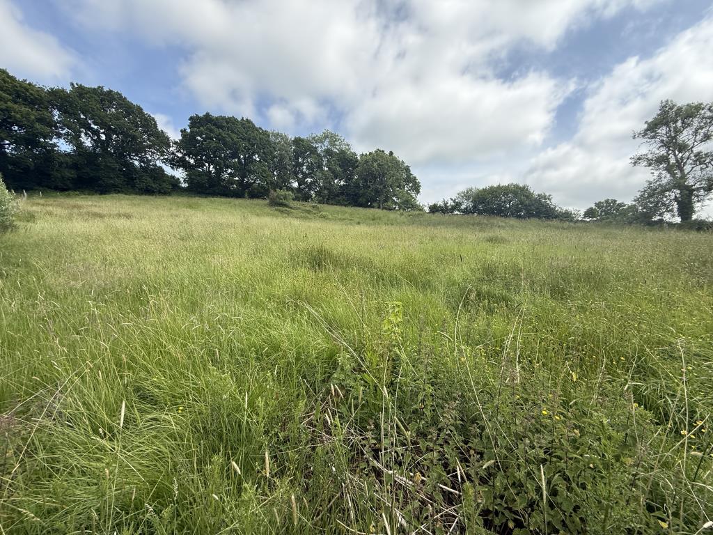 Lot: 69 - 3.24 ACRES OF LAND WITH PLANNING FOR AGRICULTURAL BUILDING - WORKS COMMENCED - General view of meadow land